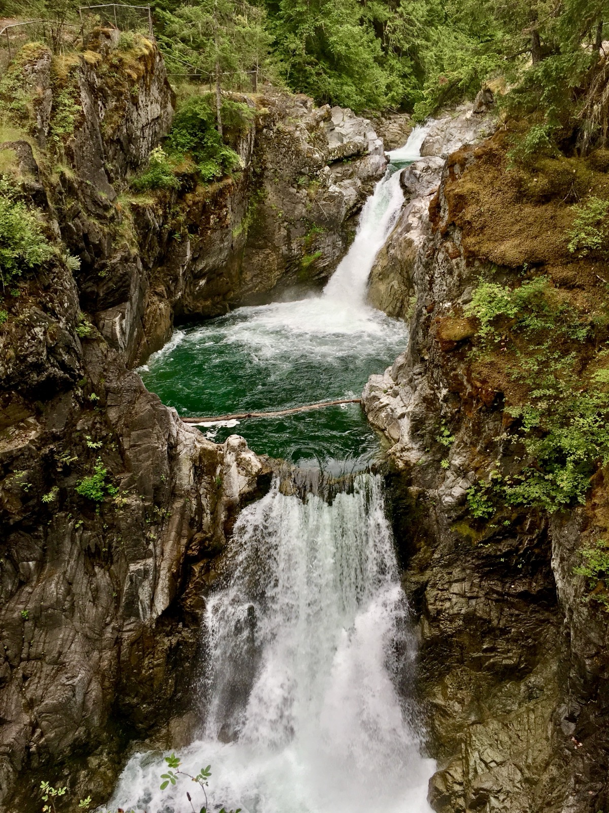 A waterfall cascading through a forested gorge